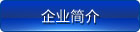 山東國新起重機械有限公司 